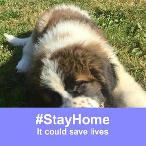 Meet your Posher, Leelou